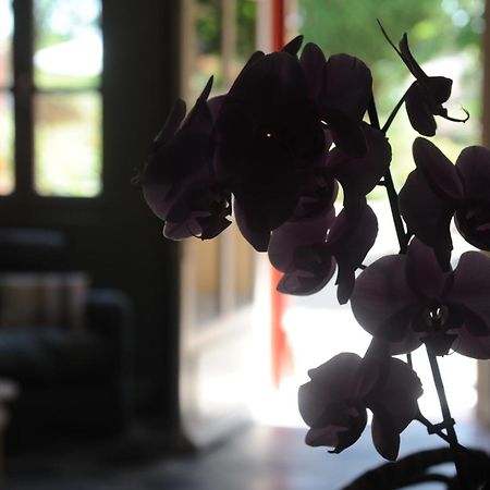 Les Chambres D'Andrea มาร์เซย็อง ภายนอก รูปภาพ