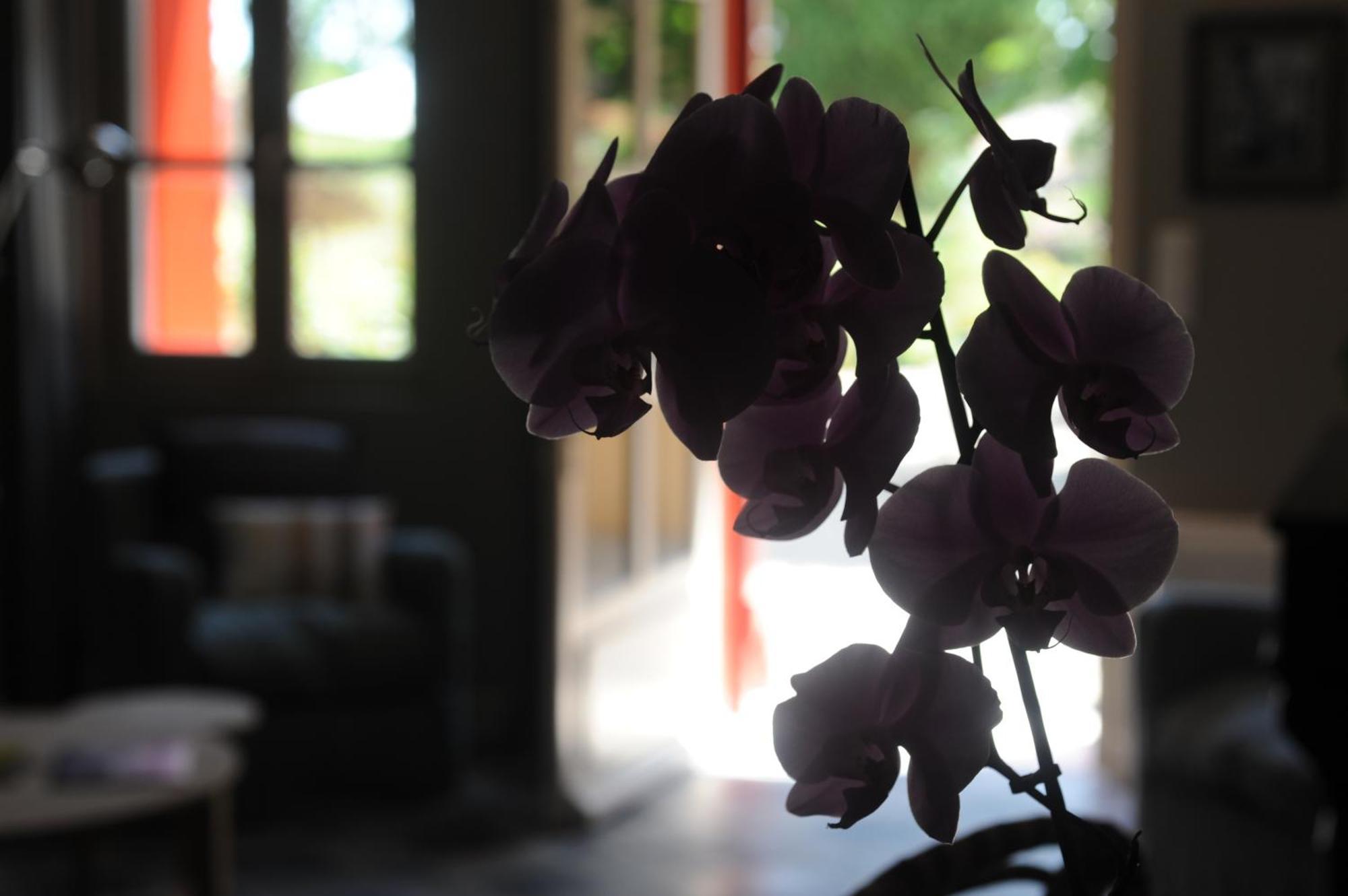 Les Chambres D'Andrea มาร์เซย็อง ภายนอก รูปภาพ